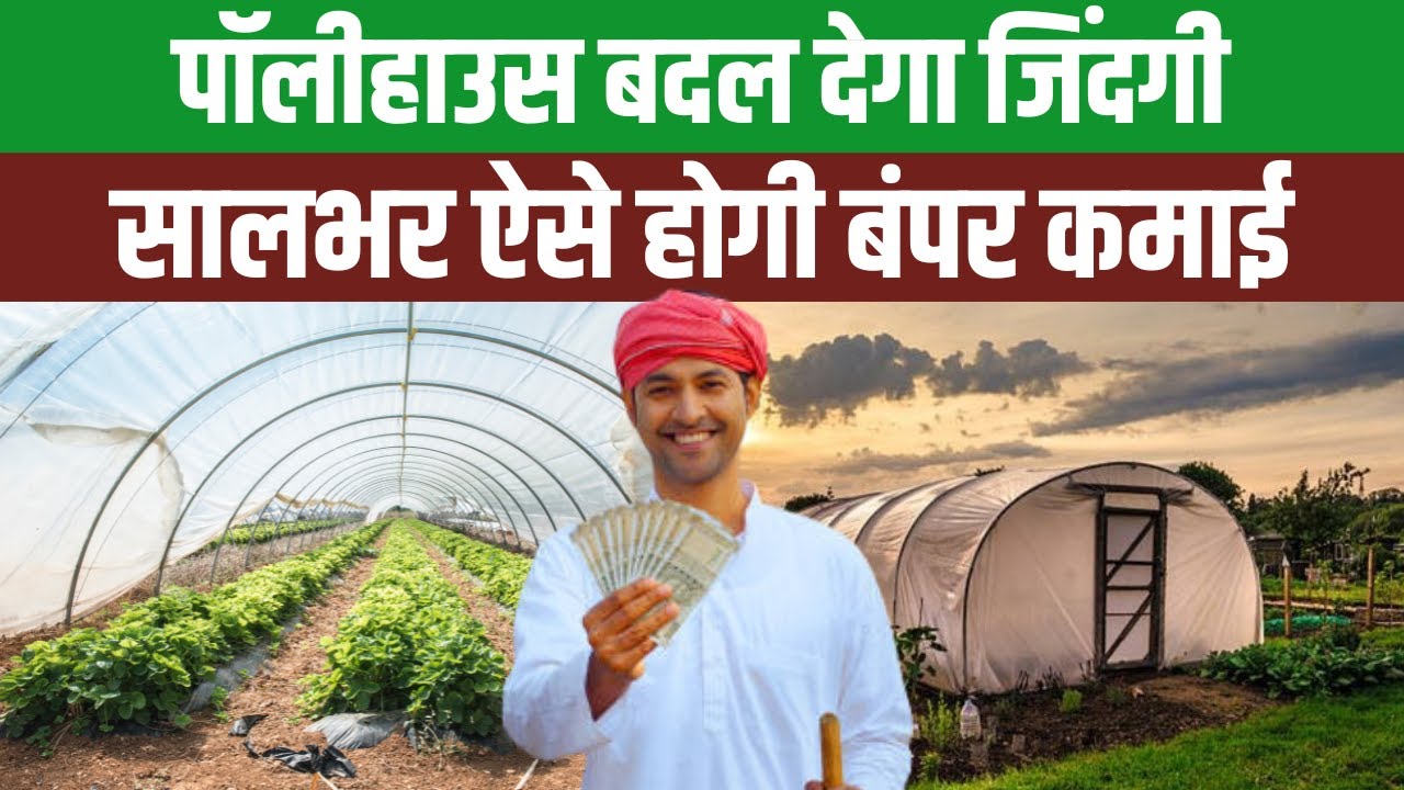 प्लास्टिक शीट की मदद से करें खेती, फसलों से कीट रहेंगे कोसों दूर