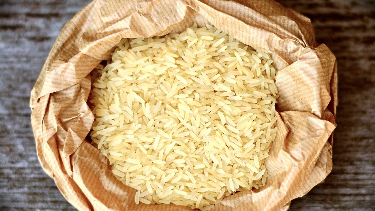 गैर-बासमती चावल के निर्यात से पहले APEDA में कराना होगा रजिस्ट्रेशन, 20 रुपये टन होगी फीस!