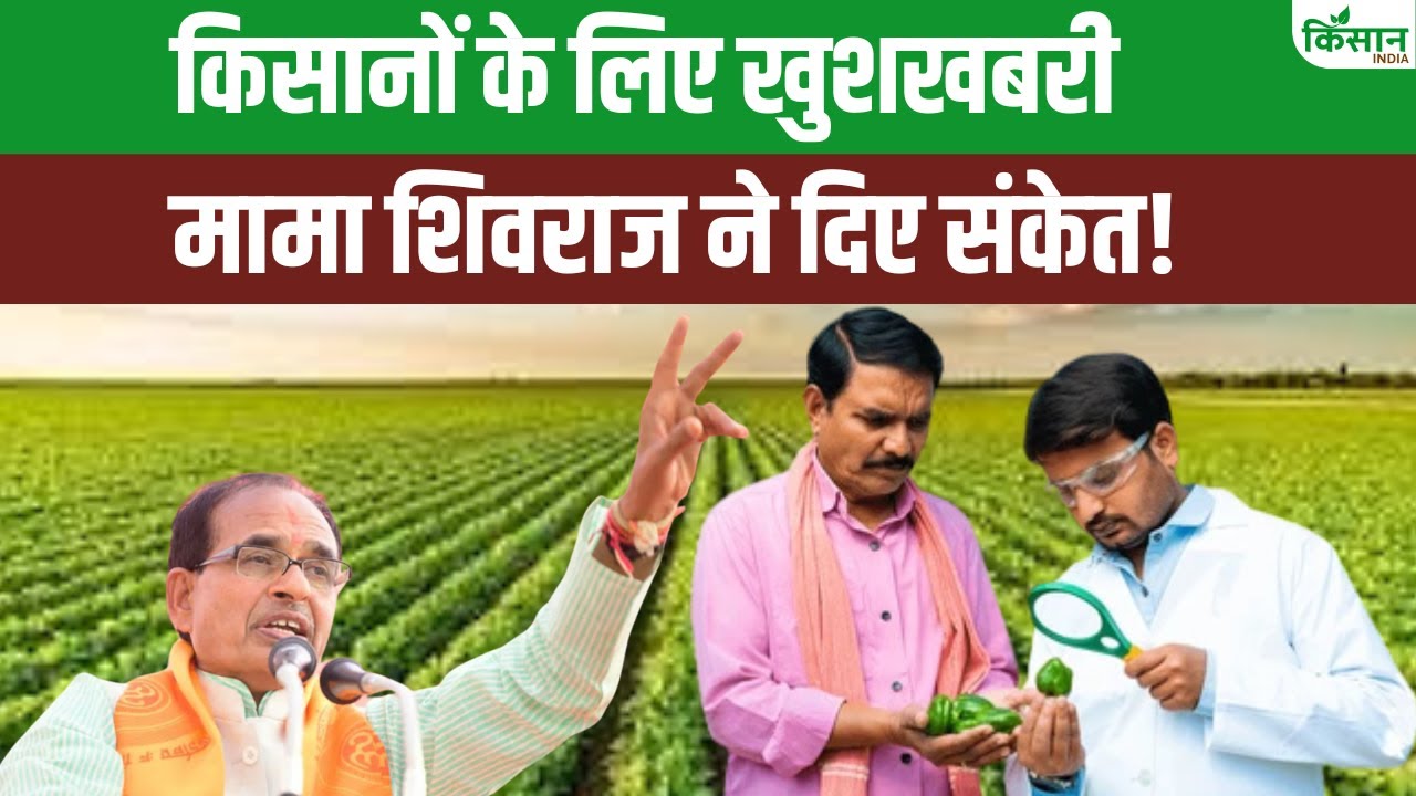 जीनोम तकनीक से तैयार हुईं धान की दो नई किस्में, 30 फीसदी तक बढ़ेगा उत्पादन