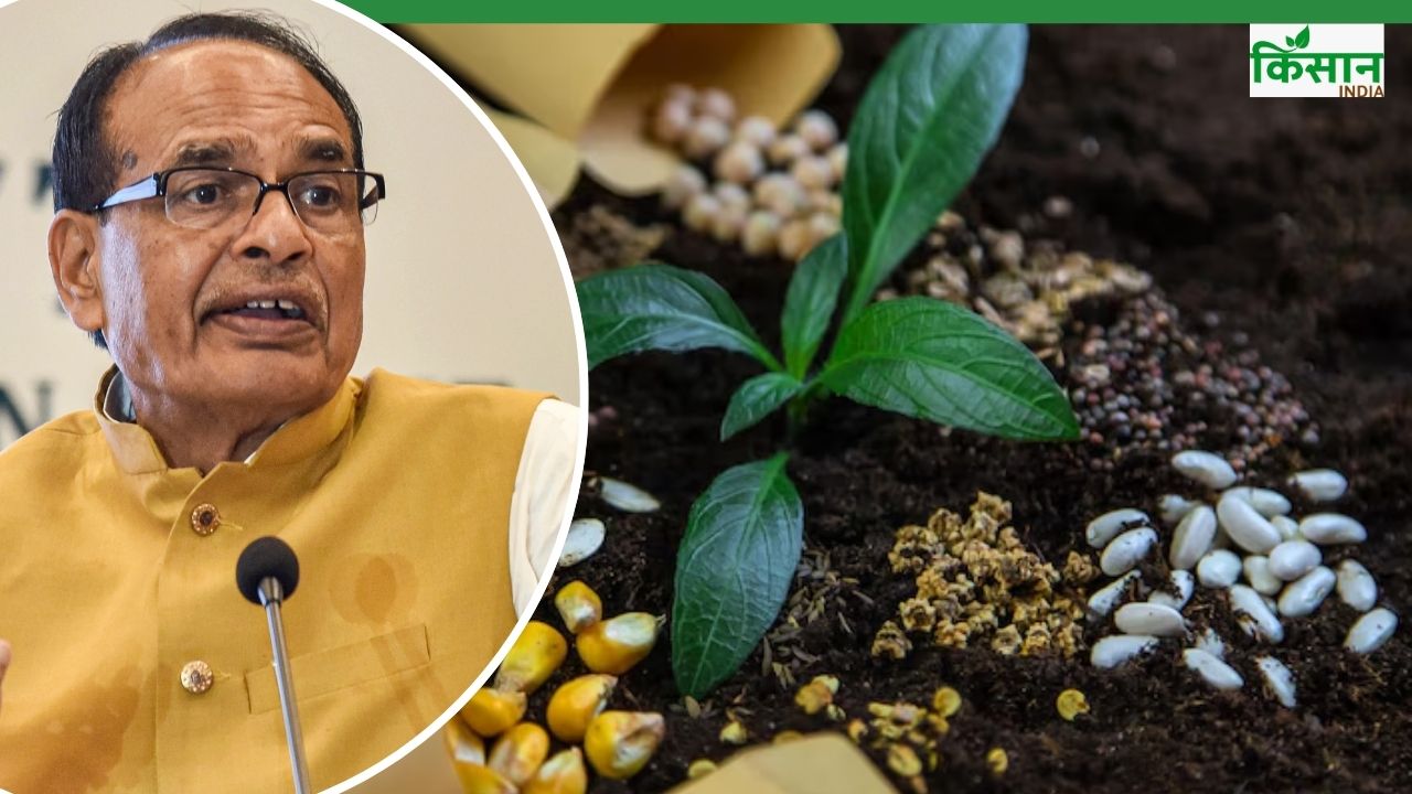 खराब बीज-दवा देने वाली कंपनी बंद होगी, खरीफ बुवाई के लिए राज्यों से होगा मंथन