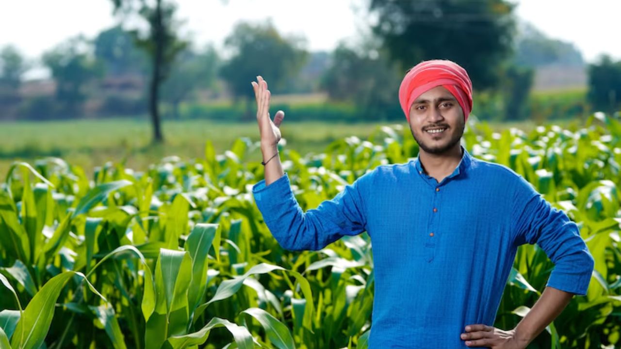 केन-बेतवा से बदलेगी किस्मत! बुंदेलखंड छोड़ेगा पंजाब-हरियाणा को पीछे, डबल होगा उत्पादन