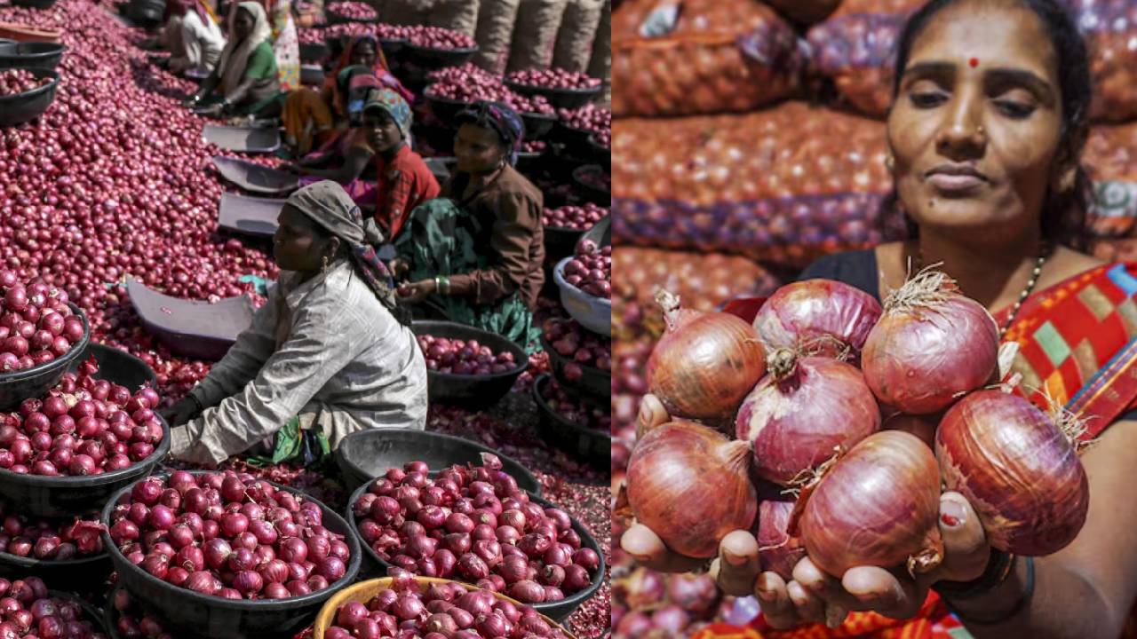 प्याज की कीमतें बढ़ने से पहले, सरकार करेगी 0.3 मिलियन टन प्याज की खरीदी
