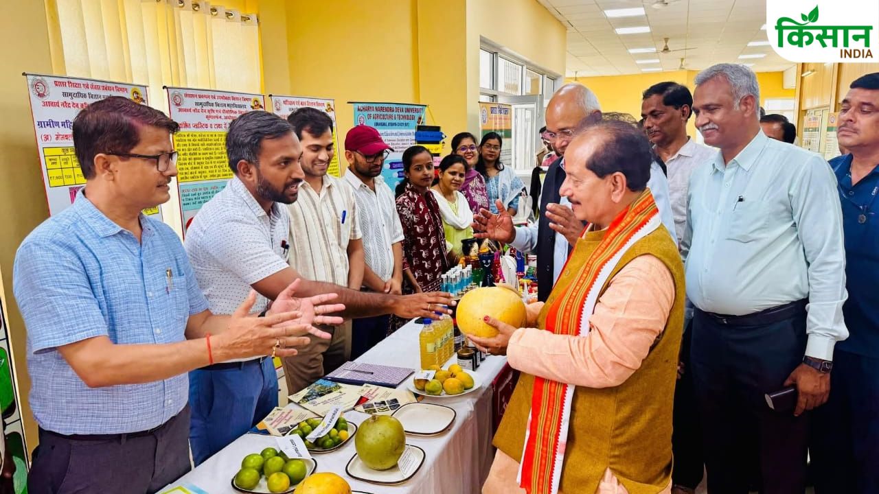 किसान उत्पादक के साथ बनेंगे निर्यातक, कमाई बढ़ाने के लिए सरकार की नई पहल शुरू