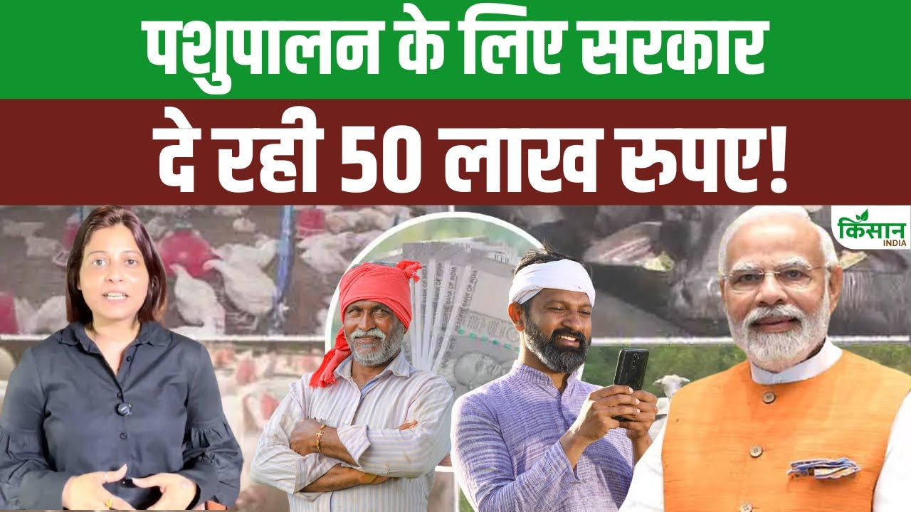 पशपुालन के लिए सरकार दे रही 50 लाख तक सब्सिडी, जानिए कैसे करें आवेदन