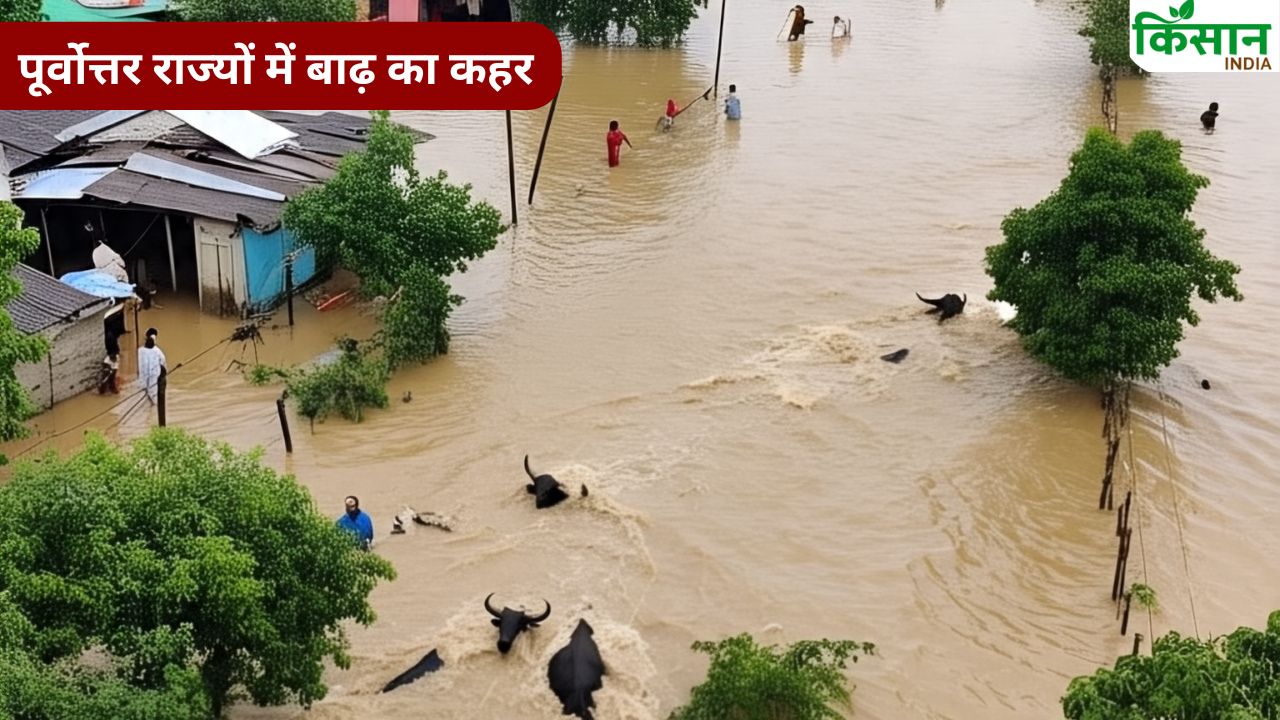 बारिश से 4 लाख लोग प्रभावित..764 गांव जलमग्न और मवेशी बहे, 3524 हेक्टेयर फसल चौपट