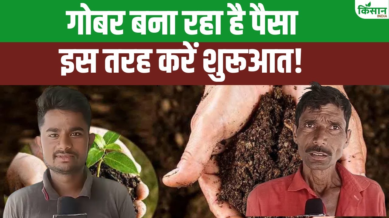 गोबर की खाद से किसान कर रहे अच्छी कमाई, बाराबंकी की गौशाला बनी आत्मनिर्भरता की मिसाल