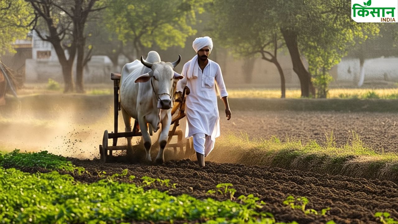 फसल बुवाई ने पकड़ी रफ्तार.. धान, दलहन  और गन्ना सहित इन फसलों के रकबे में बढ़ोतरी