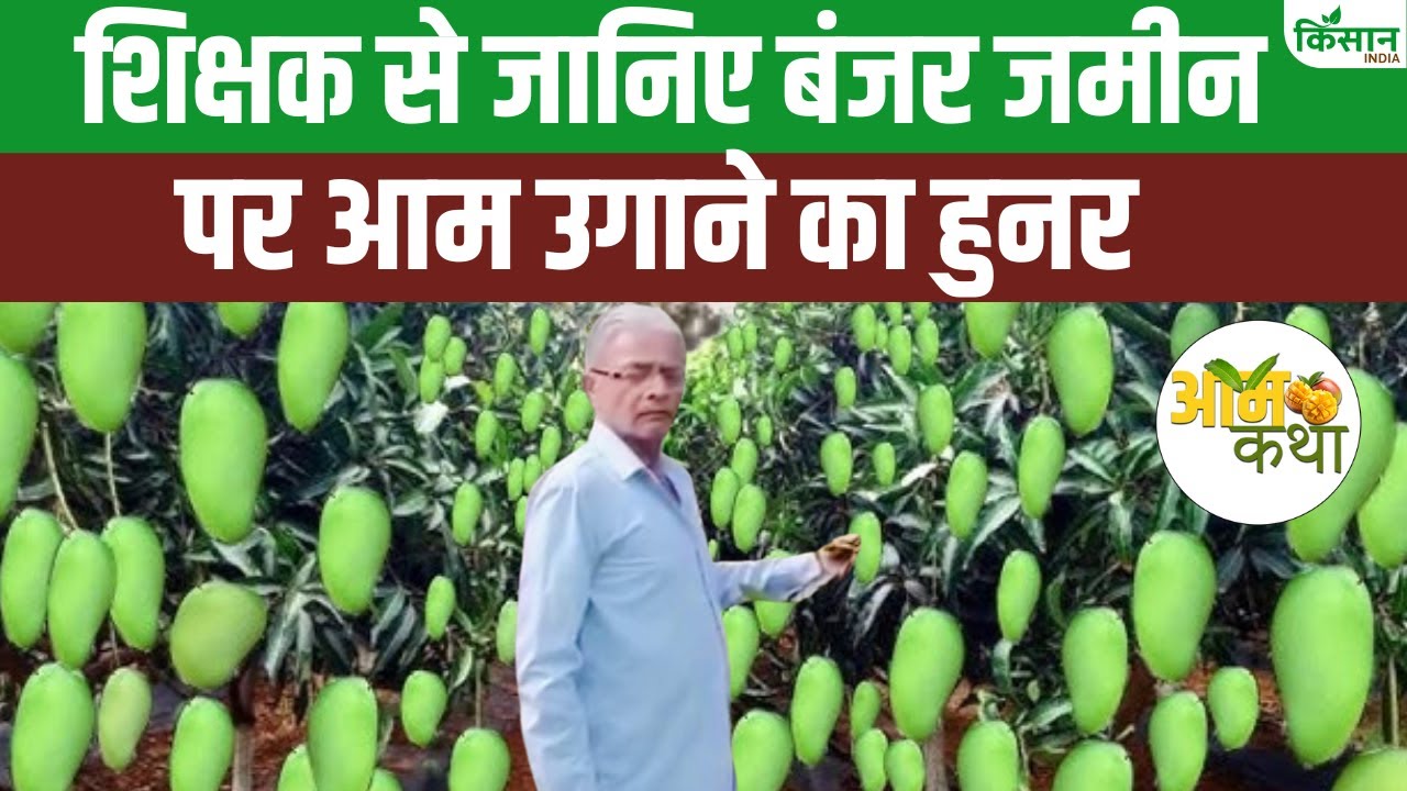 बंजर जमीन को आम की खेती से बनाया उपजाऊ, जानें रिटायर्ड शिक्षक तपन कुमार कैसे बने किसान