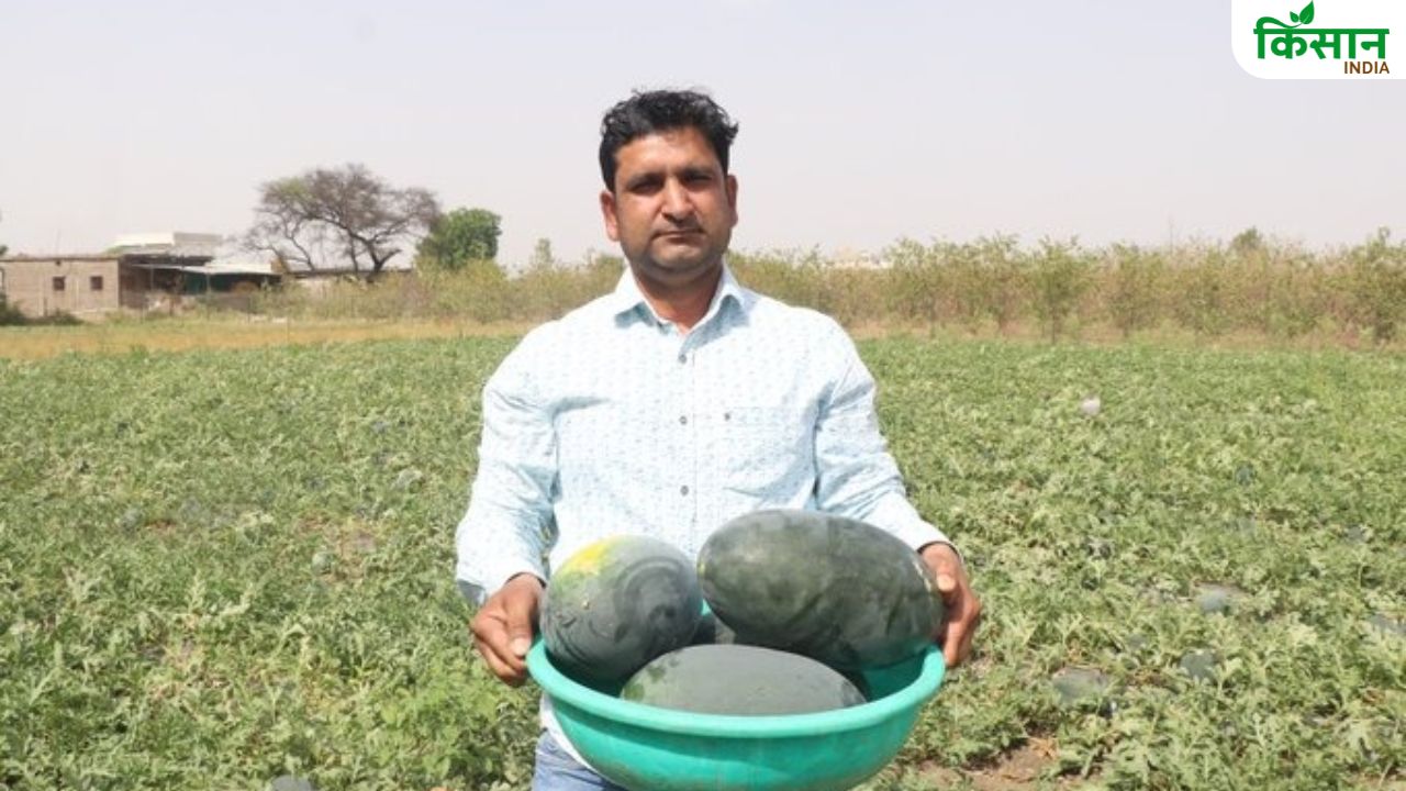 ड्रिप मल्चिंग से तरबूज की खेती कर रहे किसान प्रमोद, आप भी योजना का ऐसे उठाएं लाभ
