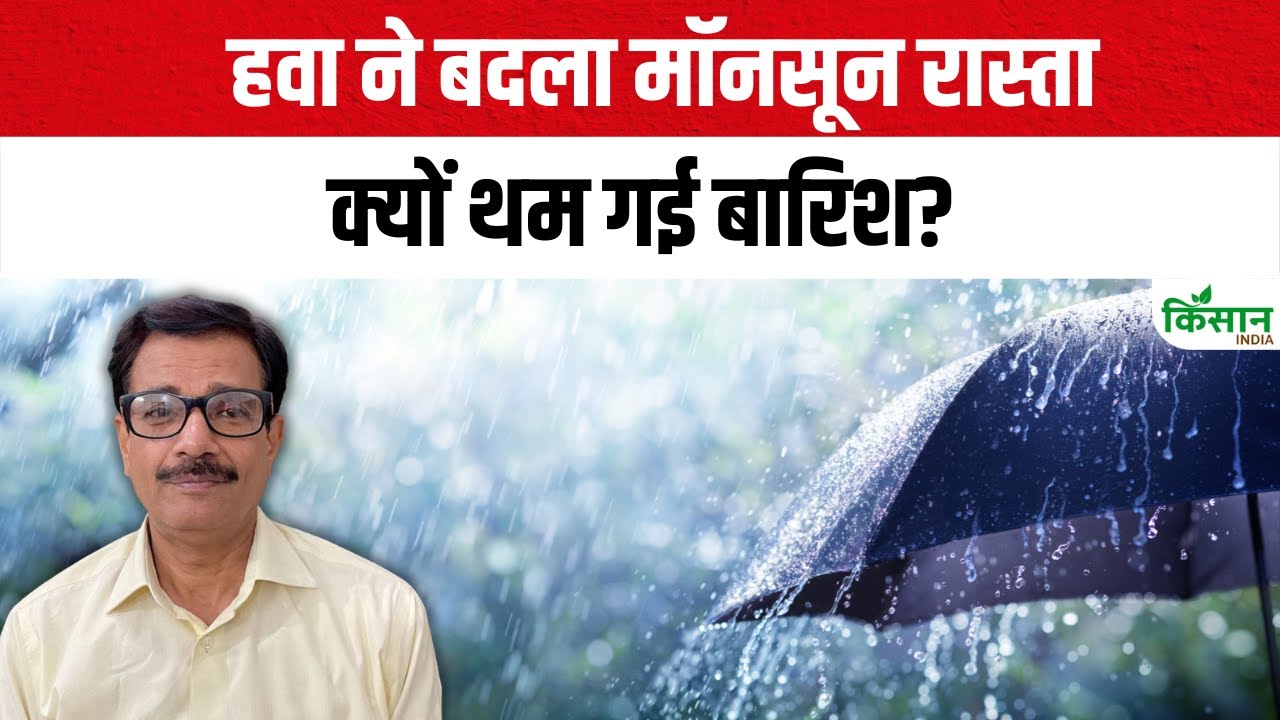 हवा ने रोकी मॉनसून की चाल, कई जगह हल्की हुई बारिश की रफ्तार