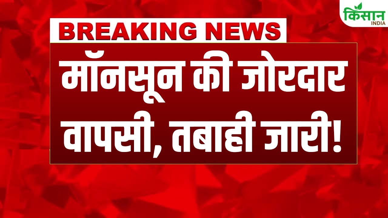 दिल्ली में झमाझम बारिश के साथ हुई मॉनसून की एंट्री, मौसम विभाग ने जारी किया ऑरेंज अलर्ट