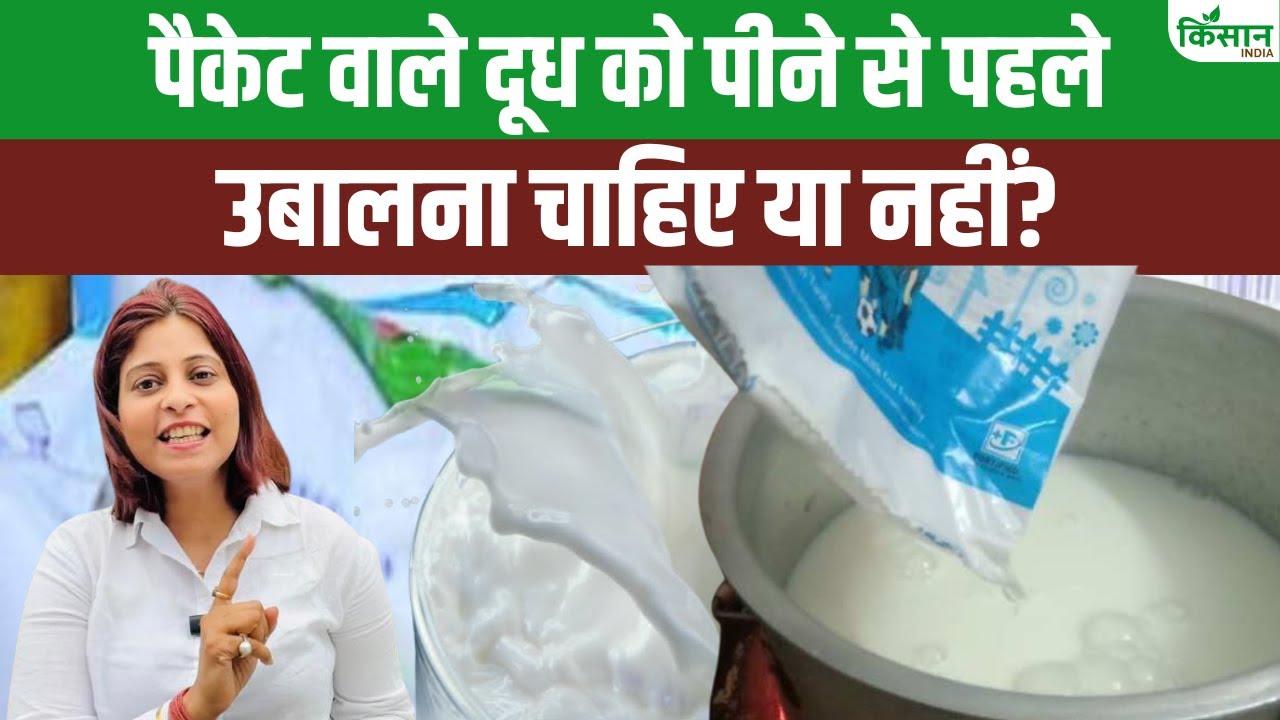 क्या आप भी इस्तेमाल करते हैं पैकेट वाला दूध, जानिए क्या कहते हैं एक्सपर्ट