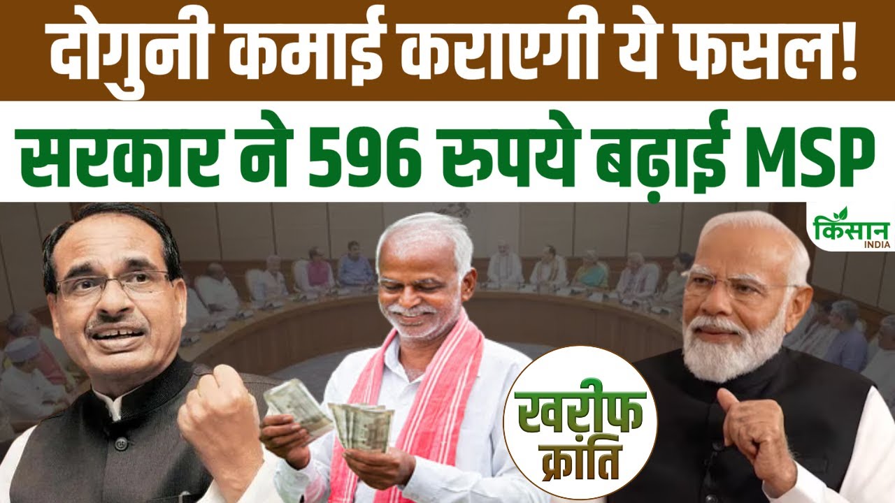 MSP बढ़ने से रागी किसानों की होगी दोगुनी कमाई, देखें वीडियो