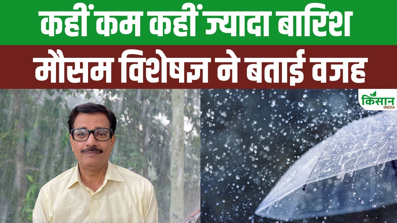 कई राज्यों में धीमी हुई मॉनसून की रफ्तार, मौसम एक्सपर्ट ने बताई असली वजह