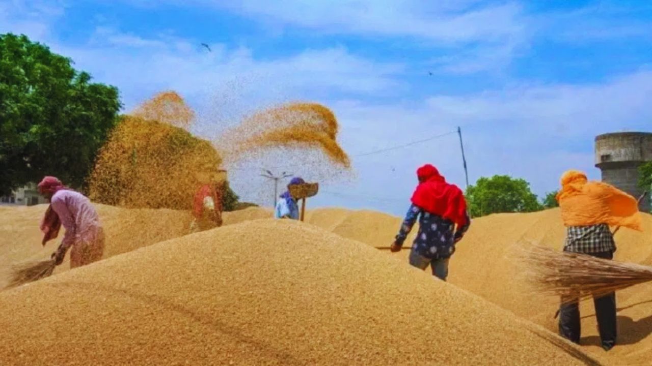योगी सरकार ने तोड़ा गेहूं खरीद का रिकॉर्ड, दो लाख किसानों से खरीदा 10 लाख मीट्रिक टन
