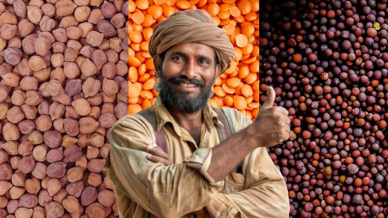 सरकार का बड़ा फैसला: चना, मसूर और सरसों पर तय हुआ MSP, किसानों को मिलेगा सीधा फायदा