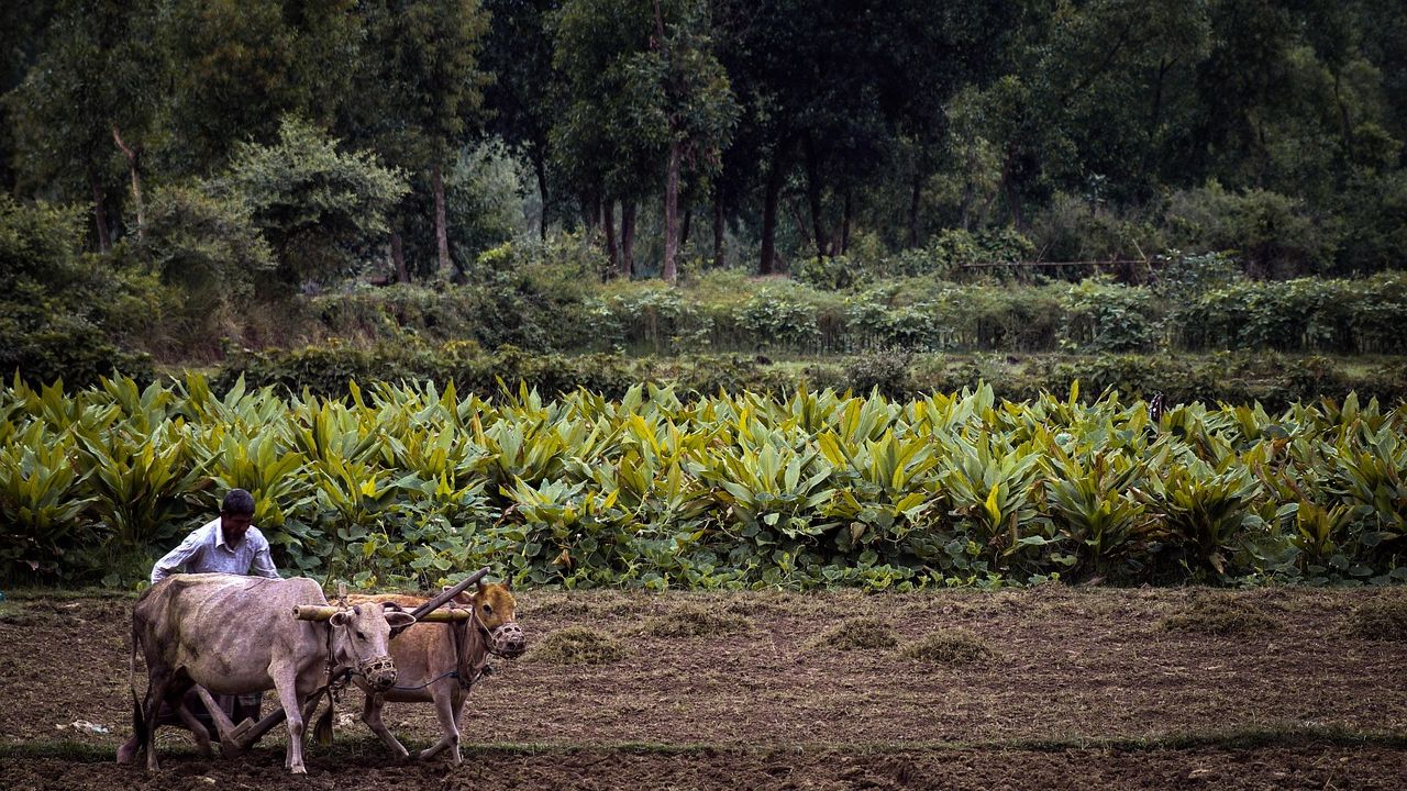 किसान नई तकनीक वाली खेती अपनाएं, पैदावार के साथ बढ़ेगी कमाई