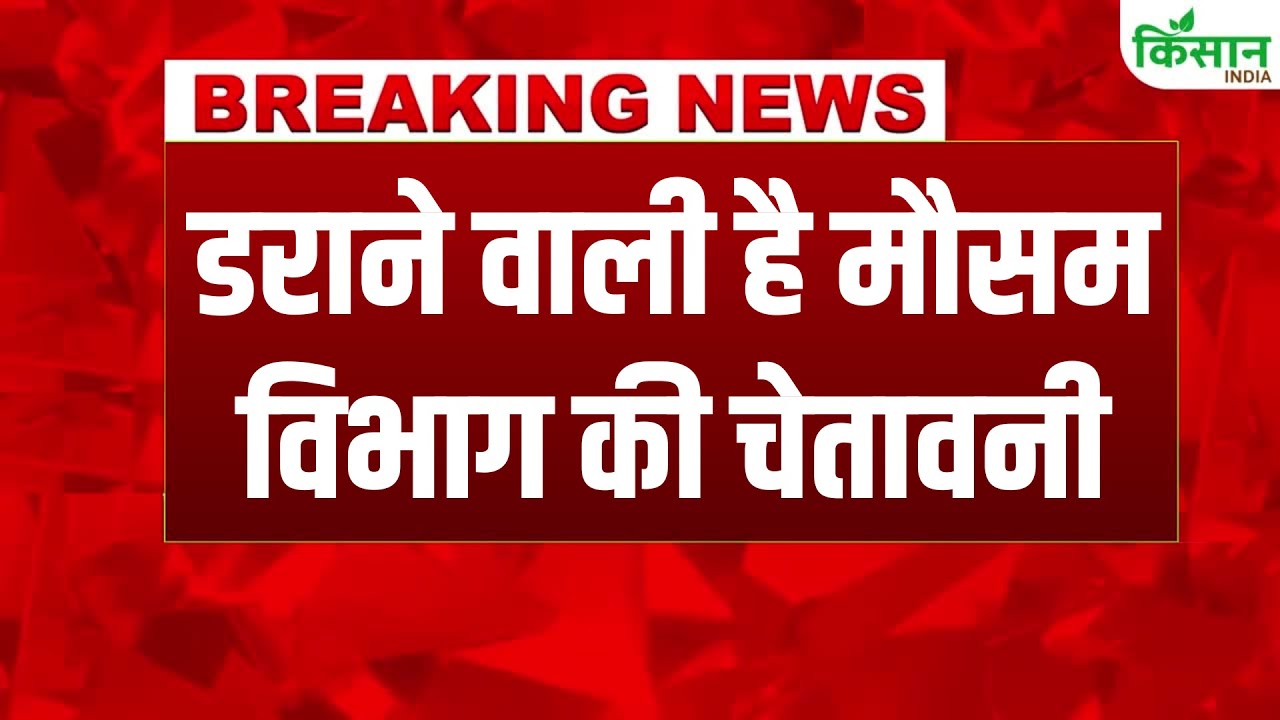 दिल्ली- NCR में झमाझम बारिश, जम्मू-कश्मीर में IMD ने जारी किया ऑरेंज अलर्ट