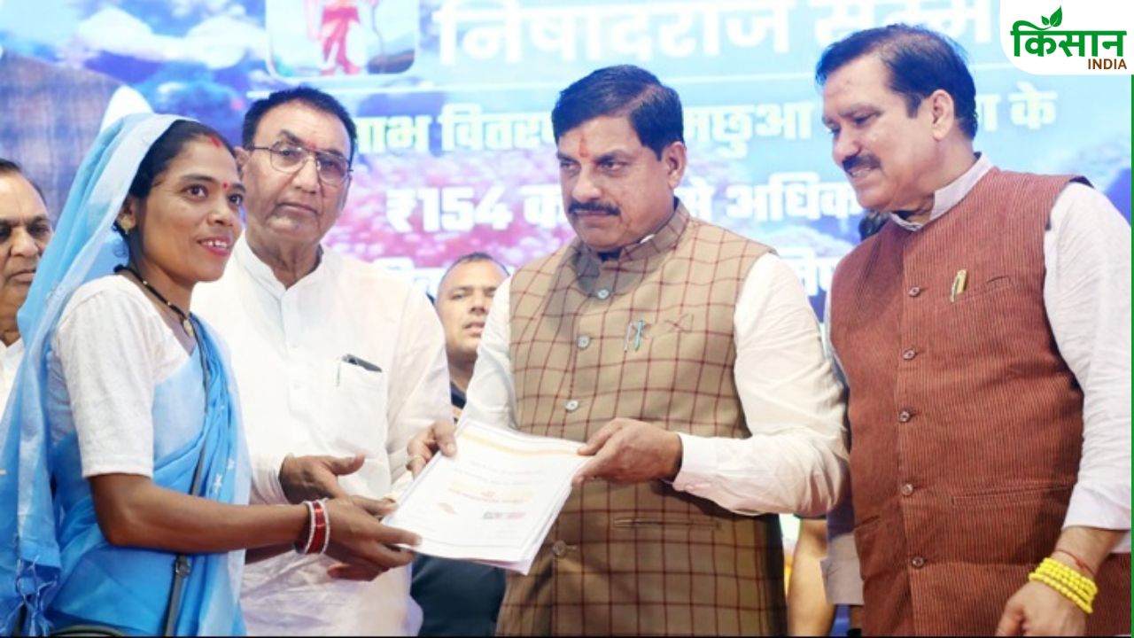 MP में मत्स्य पालन को मिला उद्योग का दर्जा, CM बोले- अब मछली पालन से बढ़ेगा रोजगार