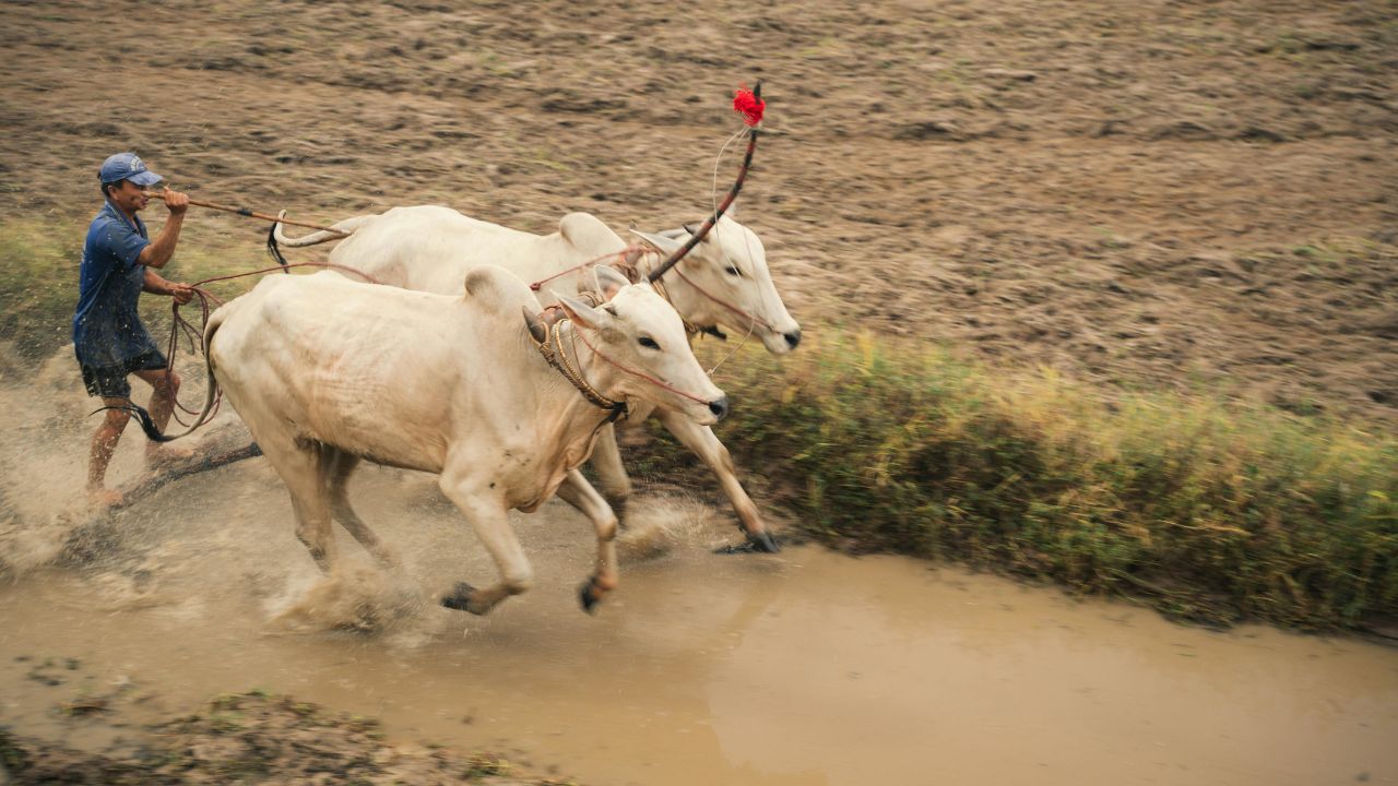 किसानों को नहीं मिल रहा KCC लोन, बैंक कर्मचारी नए नियमों का दे रहे हवाला.. जानें पूरा मामला