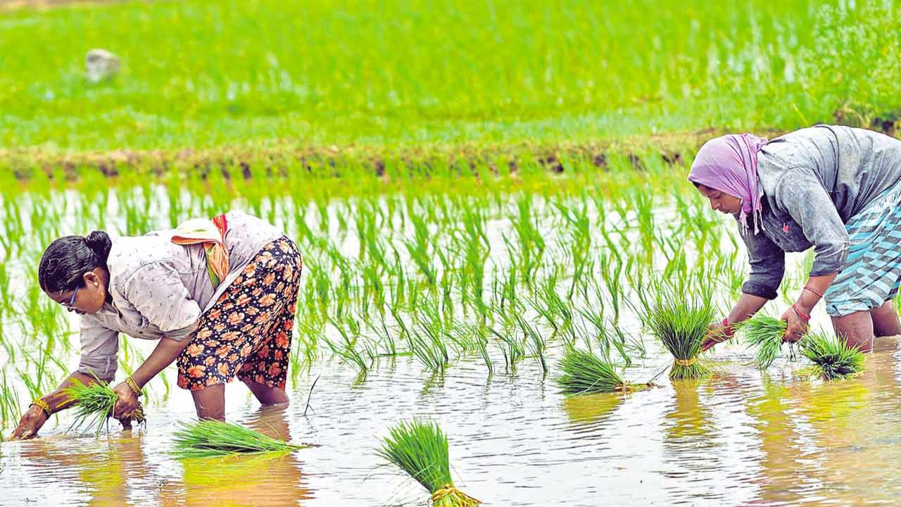 अब बीते दिनों की बात होगी सूखे का संकट, 100 लाख हेक्टेयर खेतों को पानी देने का नया प्लान