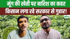 MP के रायसेन में मूंग खरीदी पर गहराया संकट! किसानों का हाल बेहाल! MP के रायसेन में मूंग खरीदी पर गहराया संकट! किसानों का हाल बेहाल!