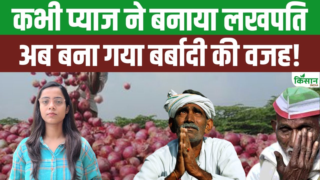 महाराष्ट्र के प्याज ने मंडियों में मचाई तबाही, लगातार गिरती कीमतों ने किसानों को रुलाया