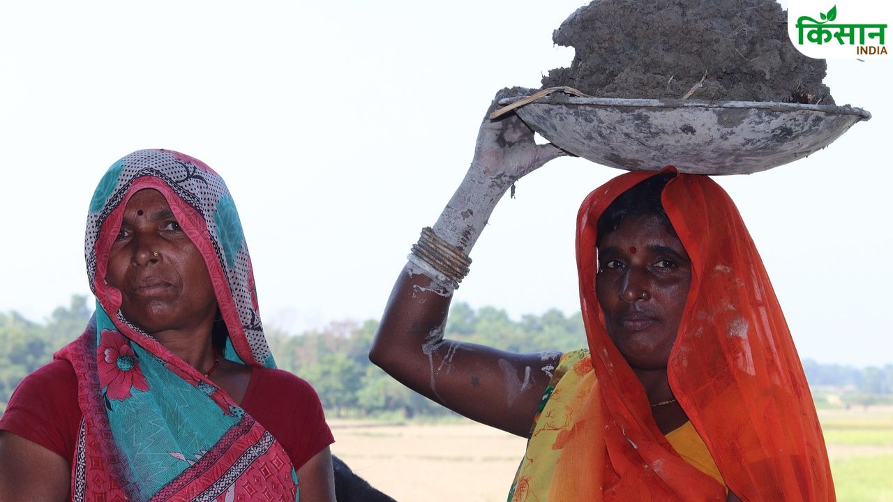 पहाड़ों की गोद में उगी हरियाली.. केचुआ खाद से बदली 100 से ज्यादा महिलाओं की किस्मत!