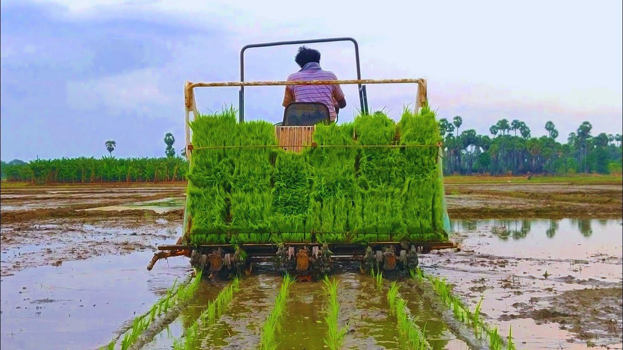 8 मजदूरों का काम अकेले करेगी ये मशीन, धान की रोपाई अब मिनटों का खेल!
