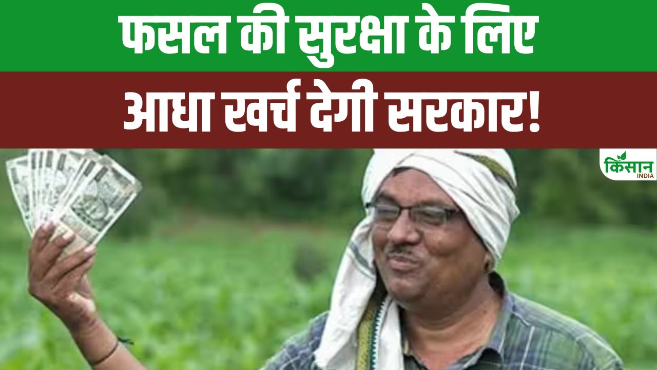 अब फसलों को छुट्टे पशुओं से नहीं होगा नुकसान, सरकार खेत की फेंसिंग पर दे रही 50 फीसदी सब्सिडी