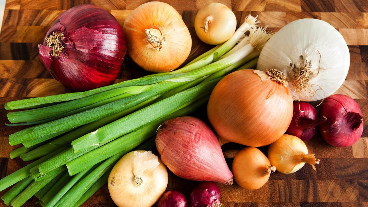 Types Of Onions: 4 रंग, 4 काम! जानें लाल, पीला, सफेद और हरे प्याज का सही इस्तेमाल