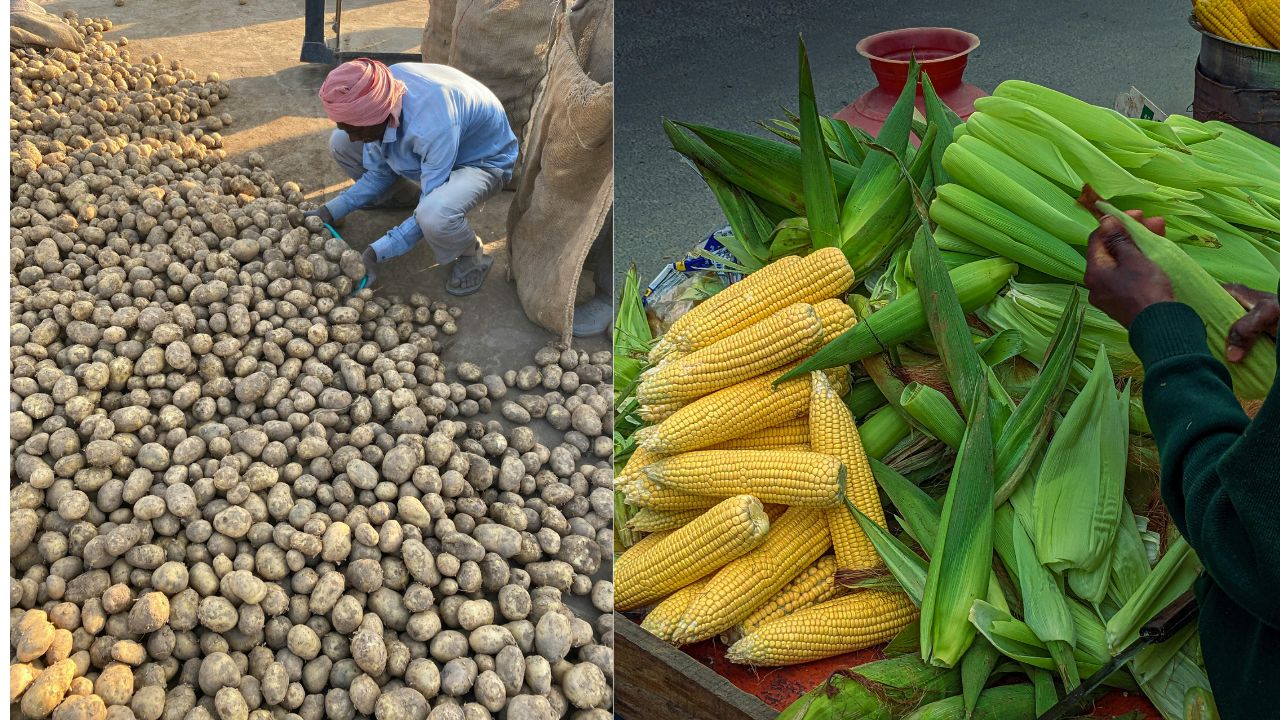 मक्का और आलू किसानों की बढ़ेगी कमाई, मार्केट में मिलेंगे उपज के बेहतर दाम.. सरकार ने शुरू की नई पहल
