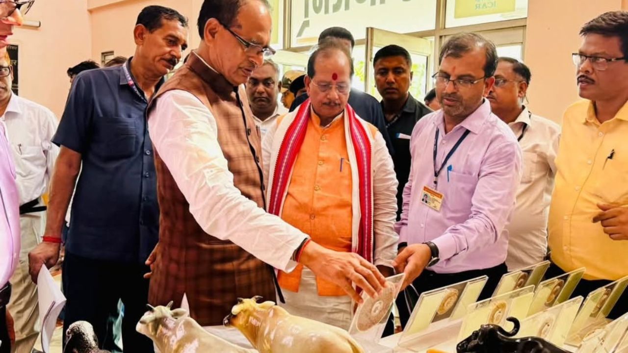 नैनो खाद की जबरन बिक्री पर कड़ा रुख अपनाएगी राज्य सरकार, ऐसे लोगों पर होगी सख्ती