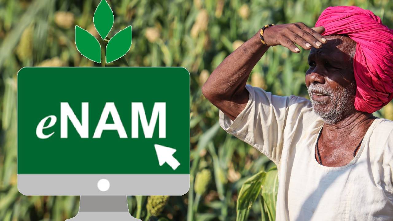 e-NAM से जुड़कर बदली जम्मू-कश्मीर की खेती, अब देशभर की मंडियों तक पहुंच रही उपज