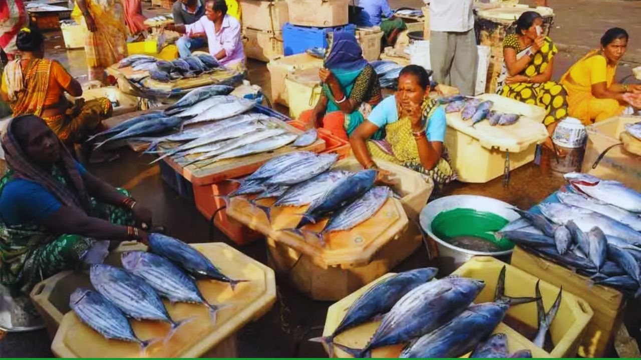 मछली पकड़ने पर कार्रवाई तय! अजमेर में सरकार का एक्शन, प्रजनन काल में जब्त हुईं मछलियां