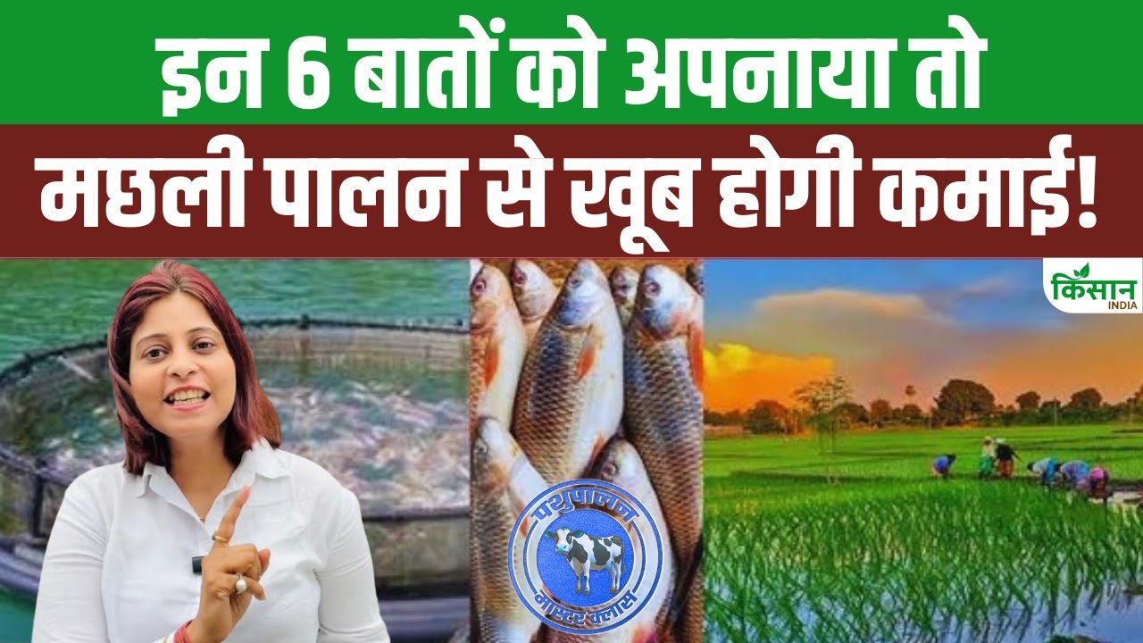 मछली पालन का सही तरीका क्या है? इन 6 बातों को अपनाया तो Fish Farming से खूब होगी कमाई!