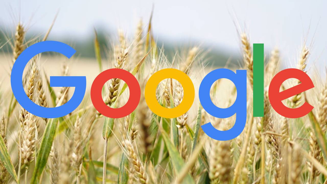 गूगल ने लॉन्च किए खेतों के लिए स्मार्ट AI टूल, अब फसल की निगरानी होगी आसान