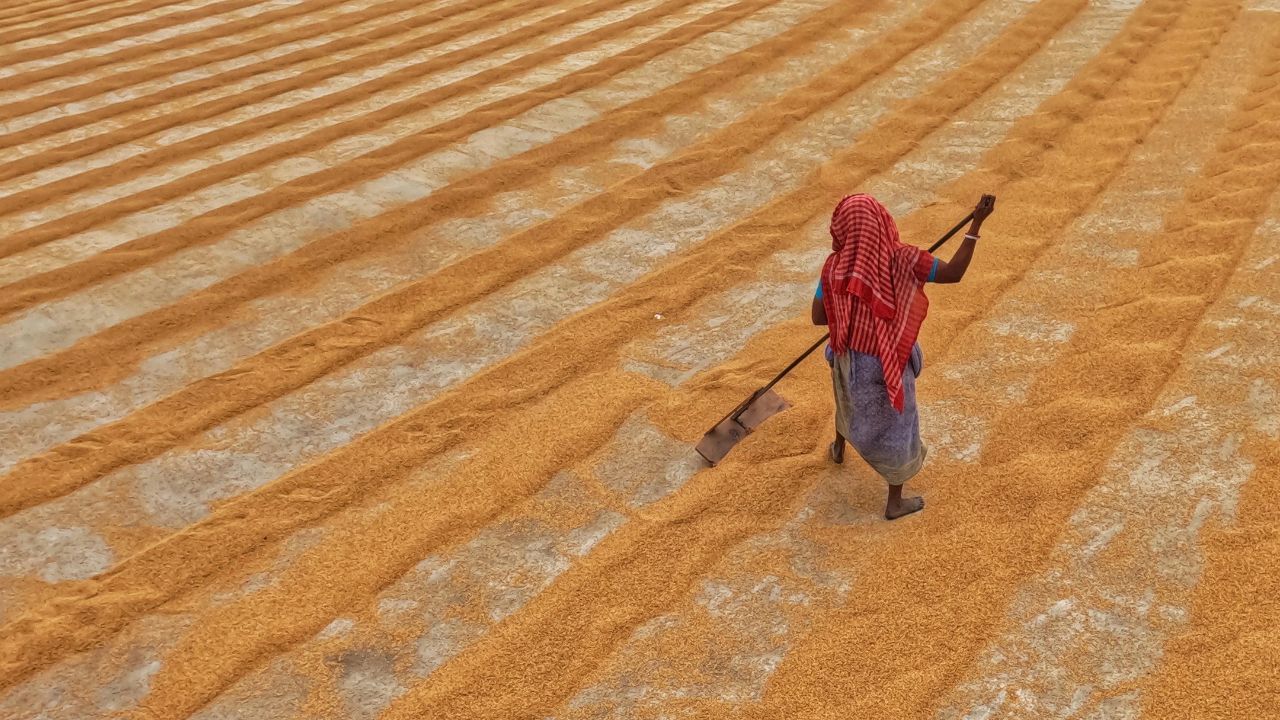 हरियाणा में धान खरीद की डेट फाइनल, मंडी व्यवस्थाओं और MSP पर CM सैनी का बड़ा ऐलान.. राइस मिलर्स को दी राहत