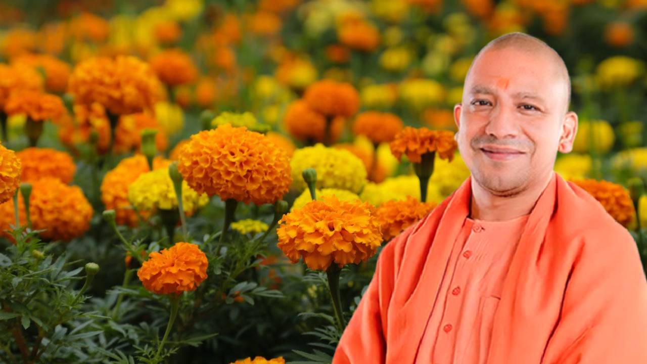सीएम योगी का ऐलान: फूल उत्पादकों को मंडी शुल्क से छूट, आम किसानों को भी मिलेगा तोहफा