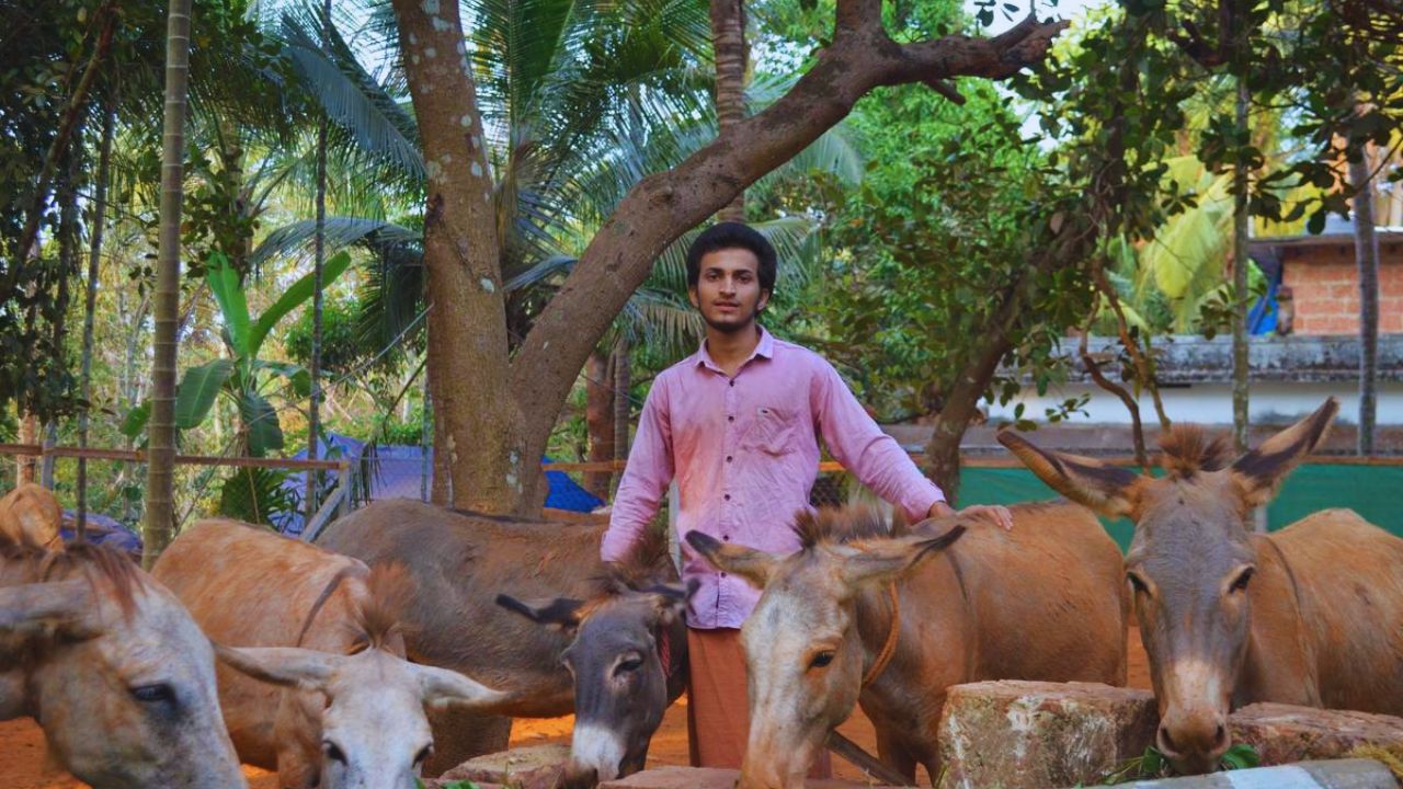स्किन से लेकर सेहत तक… गधी का दूध बना अमीरों की पहली पसंद! जानिए इसकी असली वजह