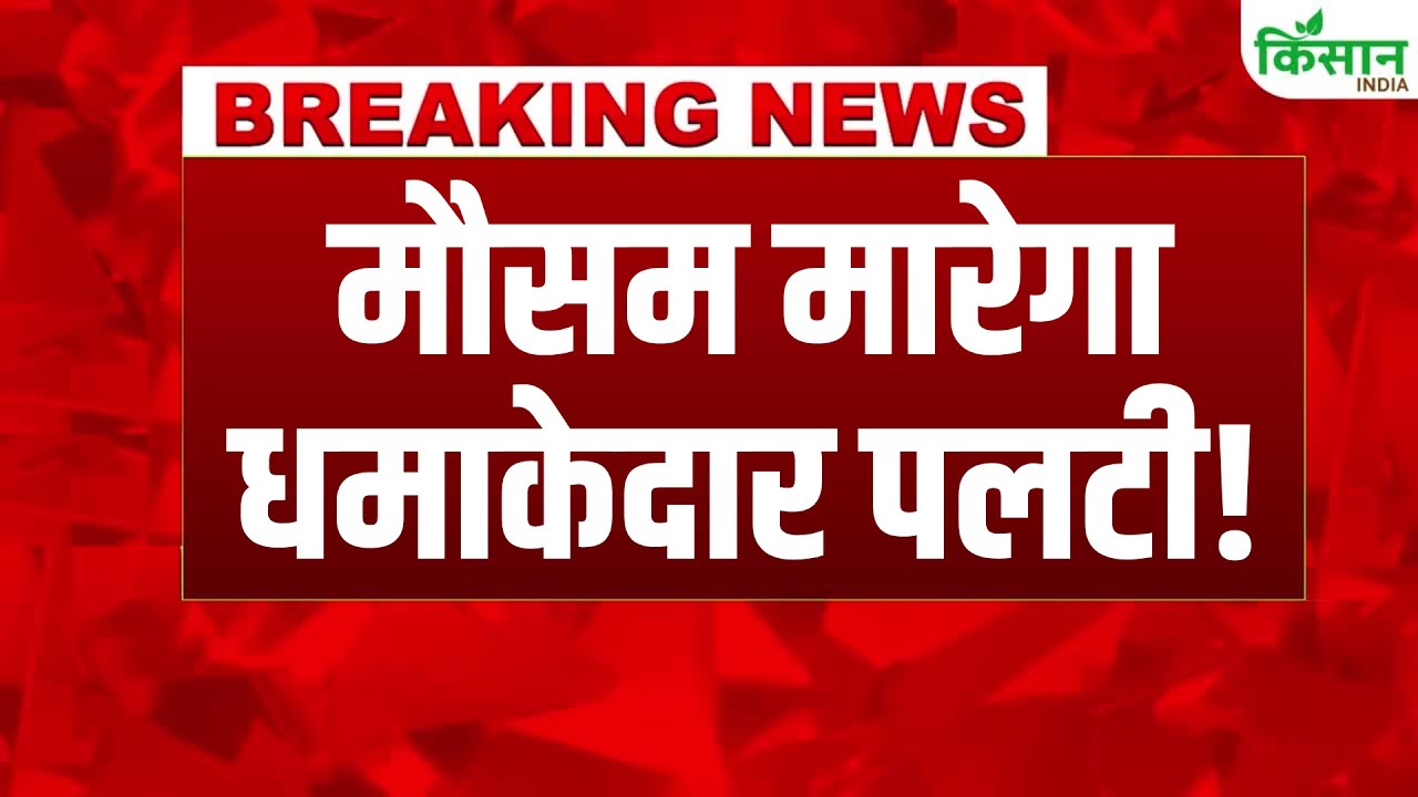 मौसम को लेकर IMD का बड़ा अपडेट, पहाड़ी राज्यों में जारी हुआ भारी बारिश का अलर्ट