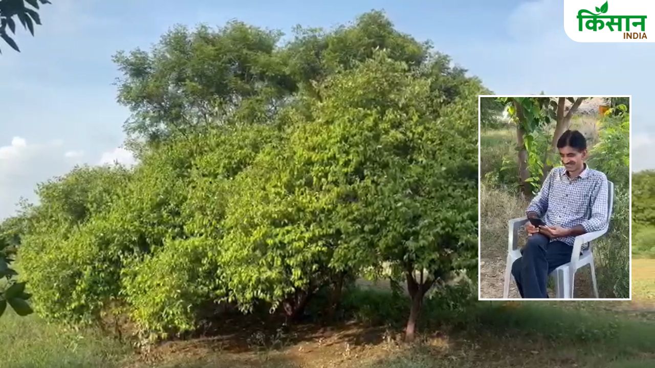 13 बीघा जमीन पर लगाए हजारों फलदार पेड़, मरीजों को मुफ्त फल बांटकर कर रहे समाज सेवा