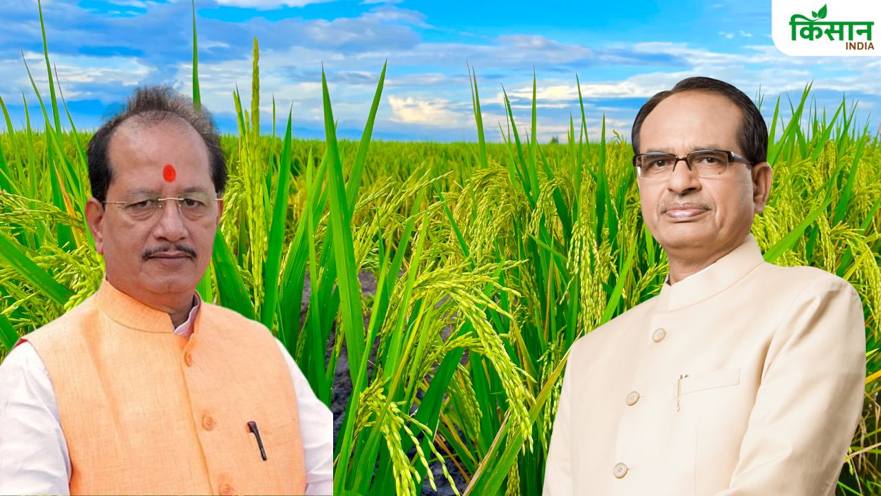 खेती को मुनाफे का सौदा बना रही बिहार सरकार, कम लागत में उत्पादन बढ़ाने पर जोर