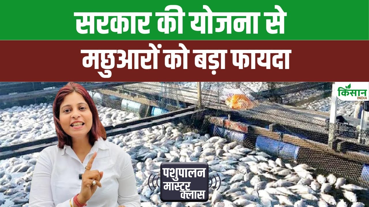 प्रधानमंत्री मत्स्य संपदा योजना से मछुआरों को मिला फायदा, उत्पादन में आया 30 फीसदी का उछाल