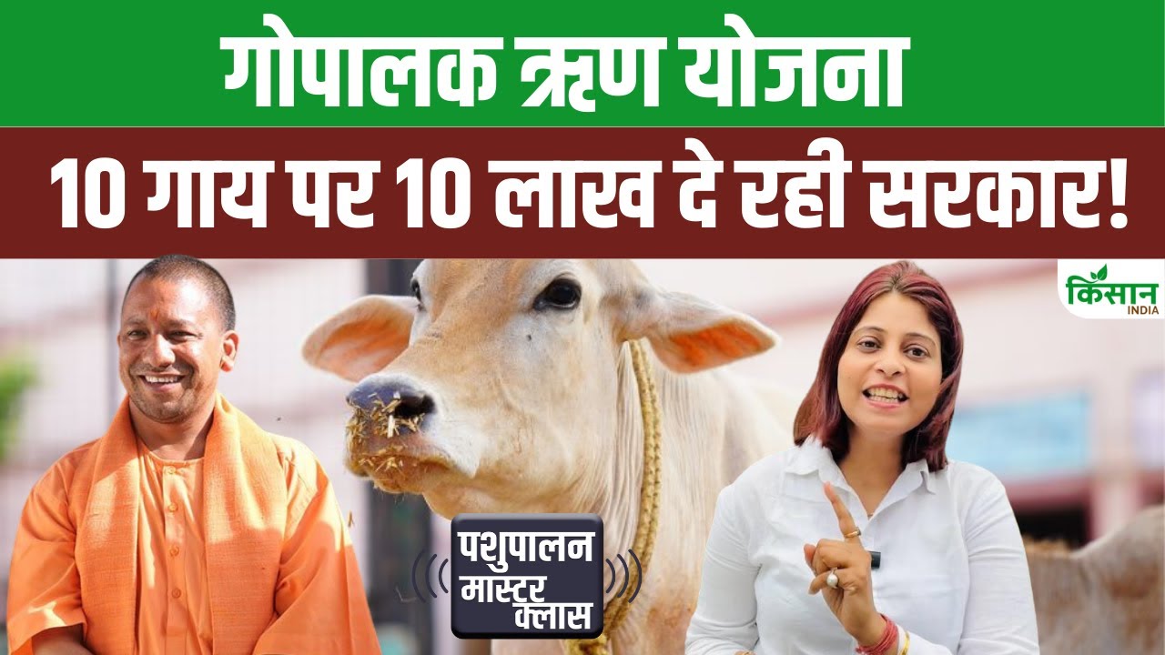 गोपालक ऋण योजना : किसानों को 10 गाय पालने पर मिलेगा 10 लाख रुपये तक लोन