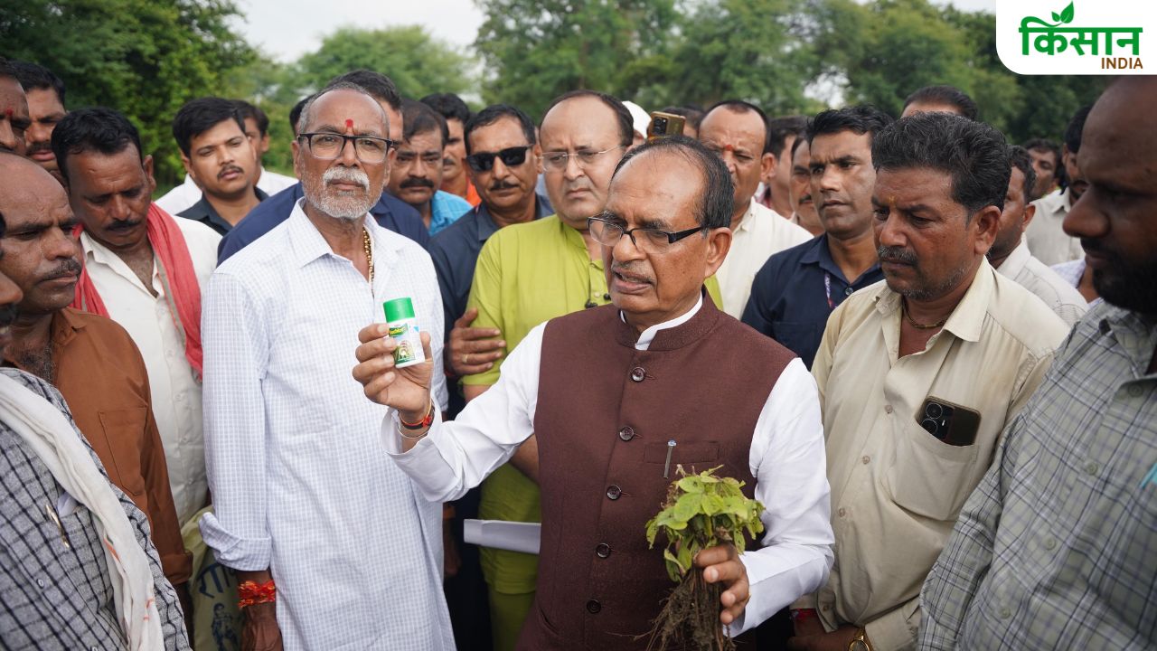 नकली खाद-बीज की जांच करने खेत पहुंचे कृषि मंत्री, सोयाबीन फसल जली देख कीटनाशक कंपनी पर भड़के