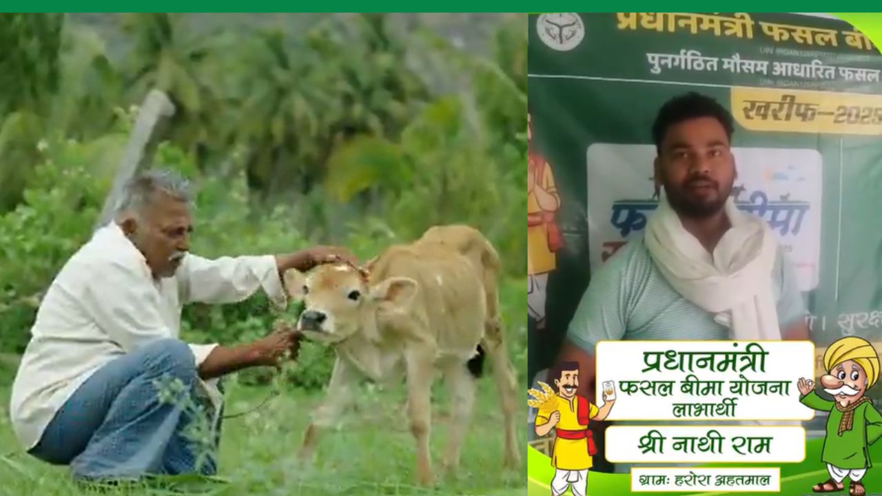 फसल चौपट होने की टेंशन खत्म! 8 फसलों पर बीमा लाभ उठाएं.. किसान ने सुनाई कहानी
