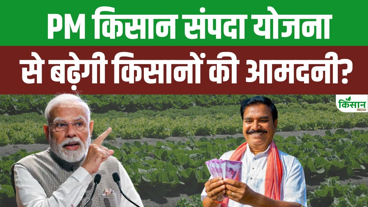 किसानों के लिए कोल्ड स्टोरेज खोलना होगा आसान, सरकार से मिलेगी 35 फीसदी तक सब्सिडी