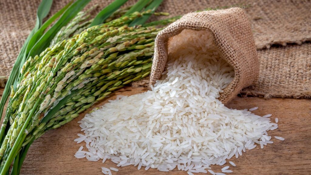अमेरिकी किसानों का दबाव बढ़ा, भारतीय चावल पर भारी शुल्क का प्रस्ताव, pc-canva अमेरिकी किसानों का दबाव बढ़ा, भारतीय चावल पर भारी शुल्क का प्रस्ताव, pc-canva