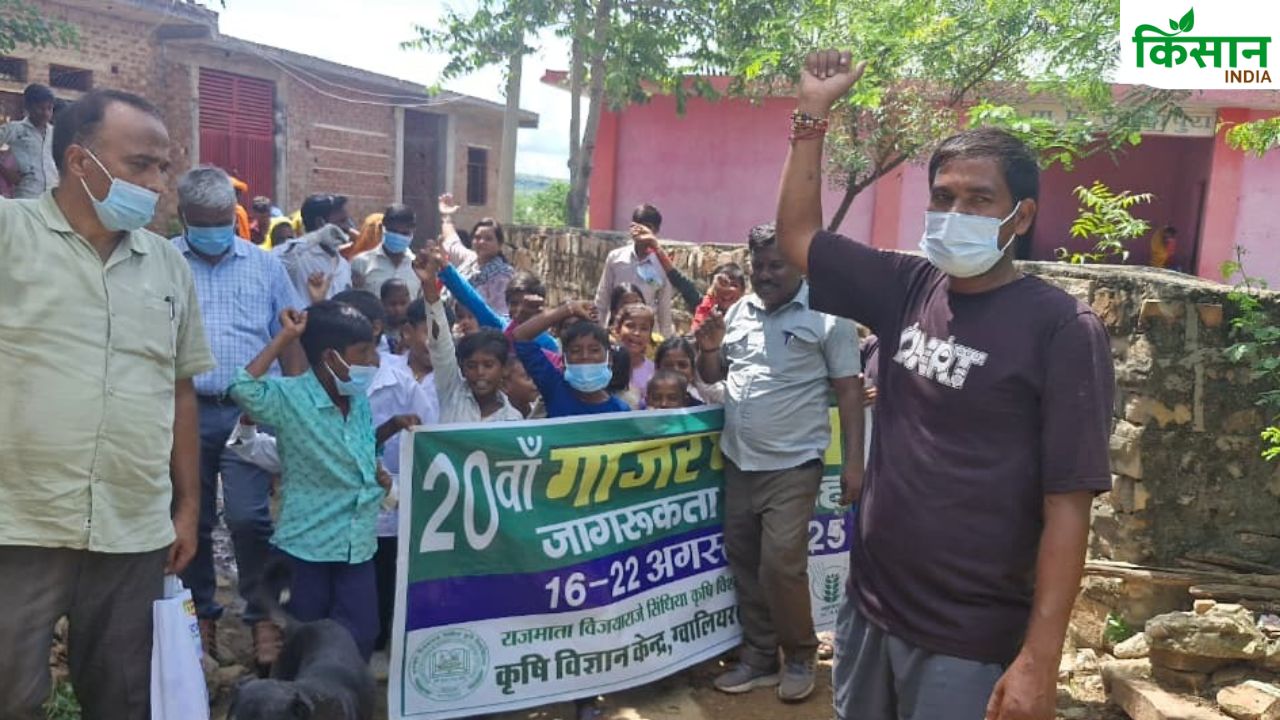 फसलों को चौपट नहीं कर पाएगी गाजर घास, वैज्ञानिकों ने किसानों को बताए छुटकारा पाने के उपाय